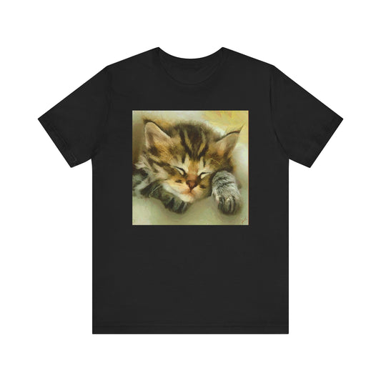 Sleepy Brucie The Cat - Unisex Jersey Short Sleeve Tee