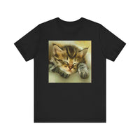 Sleepy Brucie The Cat - Unisex Jersey Short Sleeve Tee