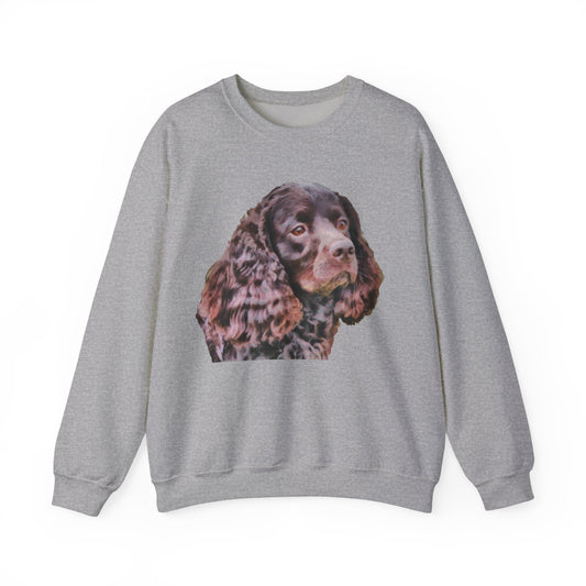 American Water Spaniel Unisex 50/50 Crewneck Sweatshirt