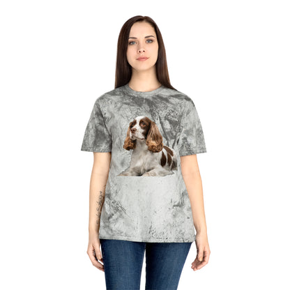French Spaniel Classic Color Blast T-Shirt