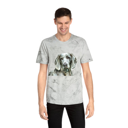 Weimaraner "Greyson" Unisex Cotton Color Blast T-Shirt