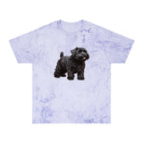 Black Russian Terrier Unisex Color Blast T-Shirt