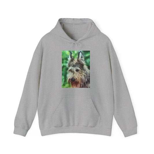 Berger Picard 50/50 Hoodie: A Warm Embrace