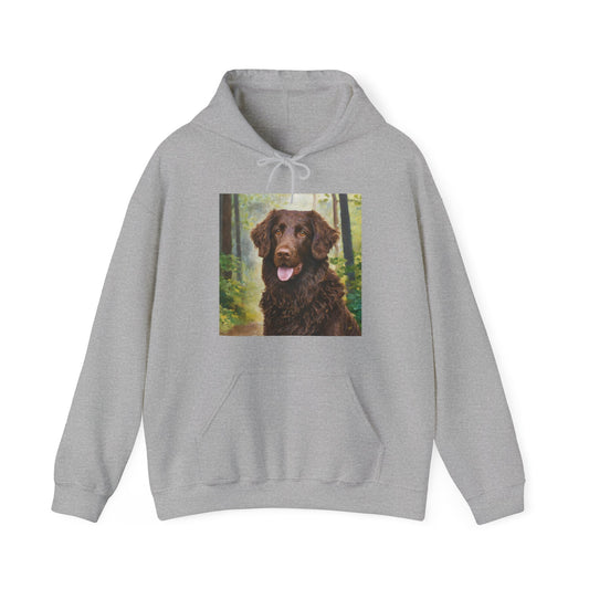 Curly-Coated Retriever 50/50 Hooded Sweatshirt