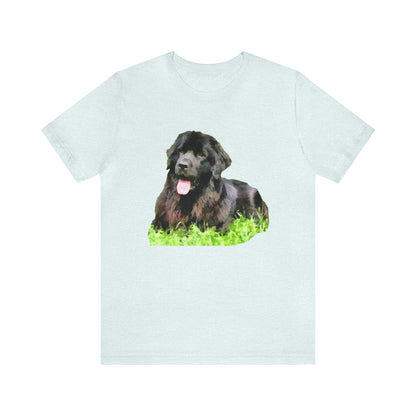 Newfoundland 'Madden'  -  Classic Jersey Short Sleeve Tee