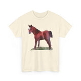 Horse 'Contata' Unisex Heavy Cotton Tee