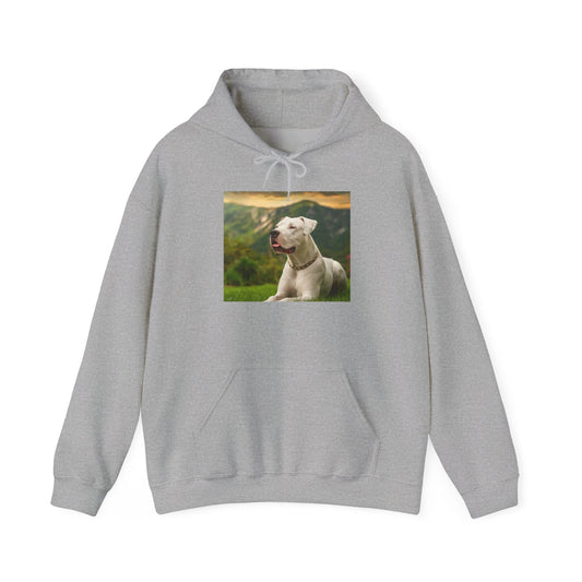 Dogo Argentino 50/50 Hooded Sweatshirt