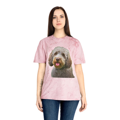 Lagotto Romagnolo 'Italian Truffle Dog' Relaxed Fit Color Blast T-Shirt