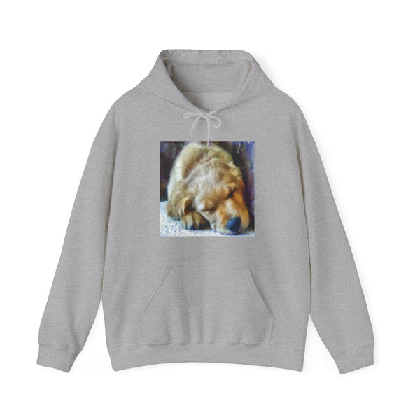 Golden Retriever 'Zuko' Unisex Hoodie by DoggyLips™