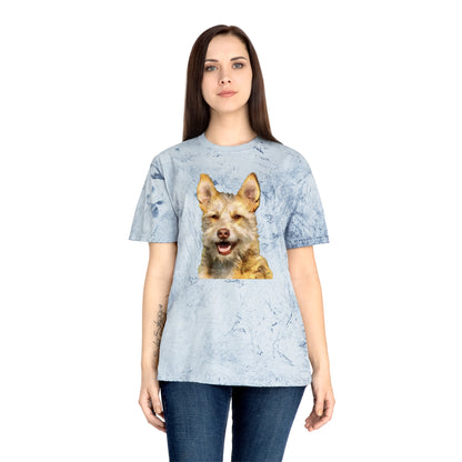 Portuguese Podengo Unisex Cotton Color Blast T-Shirt