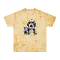 Spinone Italiano Unisex Cotton Color Blast T-Shirt