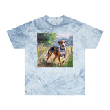 Catahoula Unisex Relaxed Fit Color Blast T-Shirt