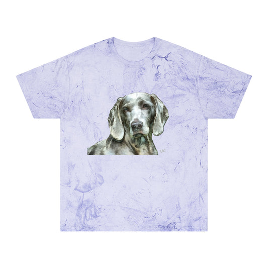 Weimaraner "Greyson" Unisex Cotton Color Blast T-Shirt