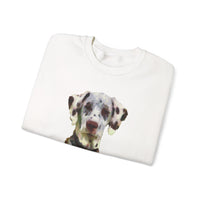 Dalmatian 'Impressionistic' Crewneck Sweatshirt
