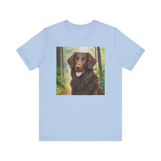Curly Coated Retriever Jersey Short Sleeve Tee