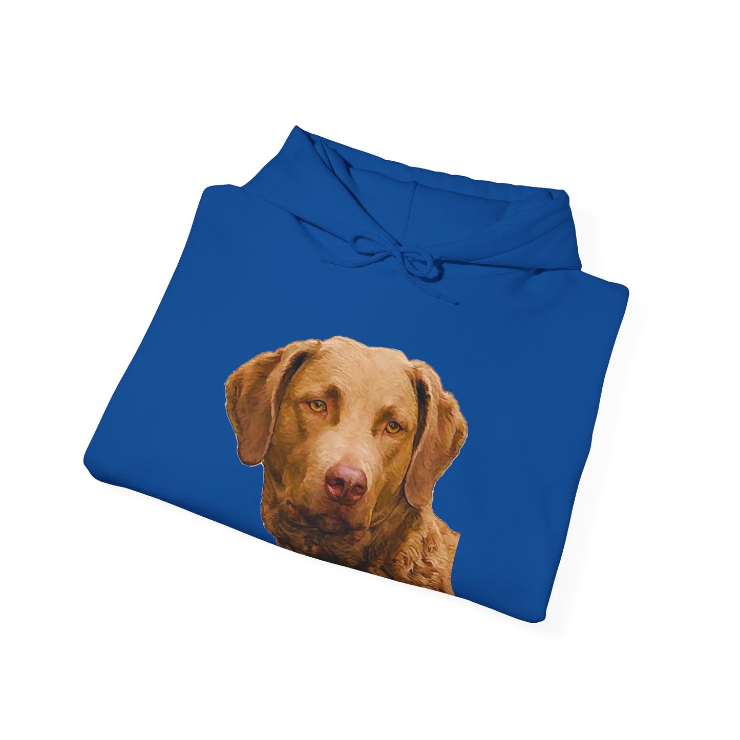 Chesapeake Bay Retriever Unisex 50/50 Hoodie: Cozy Companion