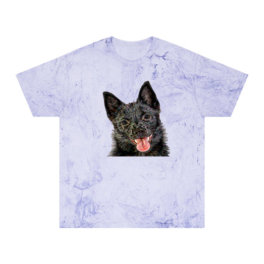 Schipperke Unisex Cotton  -  Color Blast T-Shirt