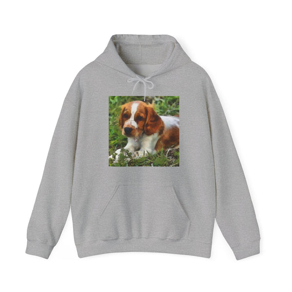 Welsh Springer Spaniel Unisex 50/50 Hoodie