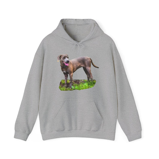 Blue Lacy 'Tex' Unisex 50/50 Hoodie