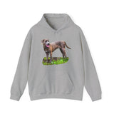 Blue Lacy 'Tex' Unisex 50/50 Hoodie