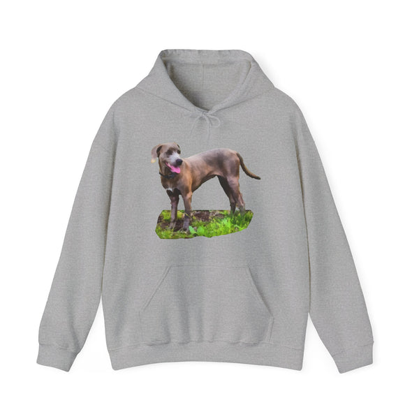 Blue Lacy 'Tex' Unisex 50/50 Hoodie