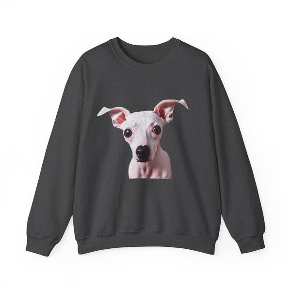 Amerian Haireless Terrier Unisex 50/50 Crewneck Sweatshirt