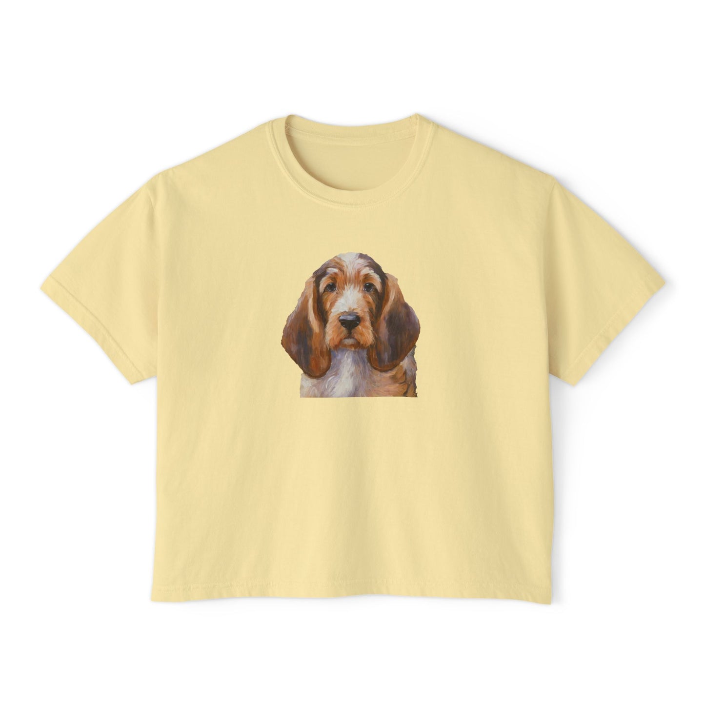 Basset Fauve de Bretagne Women's Oversized Boxy Tee