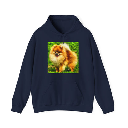 Pomeranian 'Pom Pom' Unisex 50/50 Hoodie