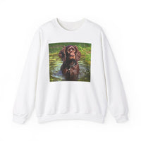 Boykin Spaniel -- Unisex 50/50 Crewneck Sweatshirt