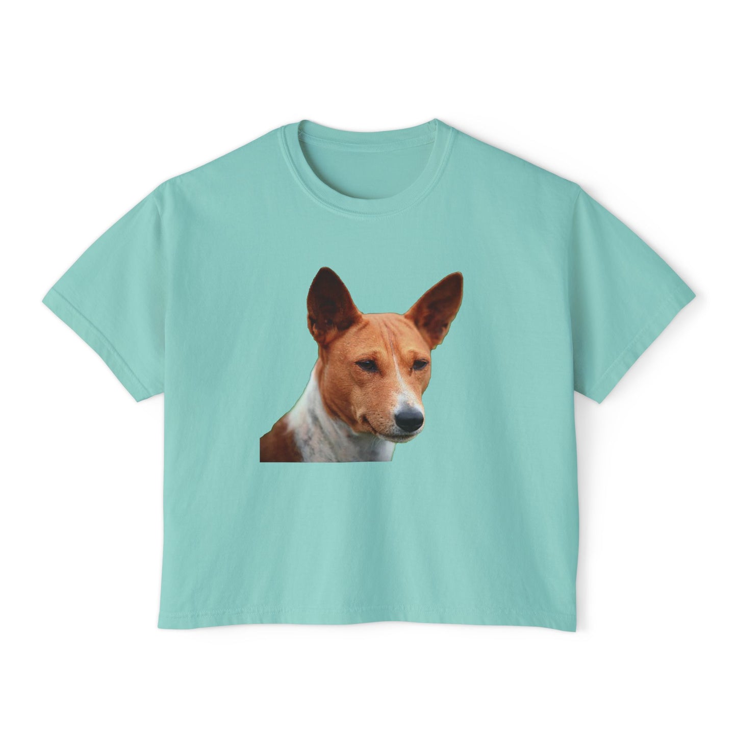 Basenji Women's Oversized Boxy Tee