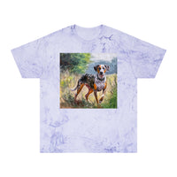 Catahoula Unisex Relaxed Fit Color Blast T-Shirt