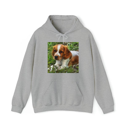 Welsh Springer Spaniel Unisex 50/50 Hoodie