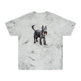 Cesky Terrier - Unisex Color Blast T-Shirt