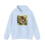 Sleepy Brucie the Cat - Classic 50/50 Hoodie