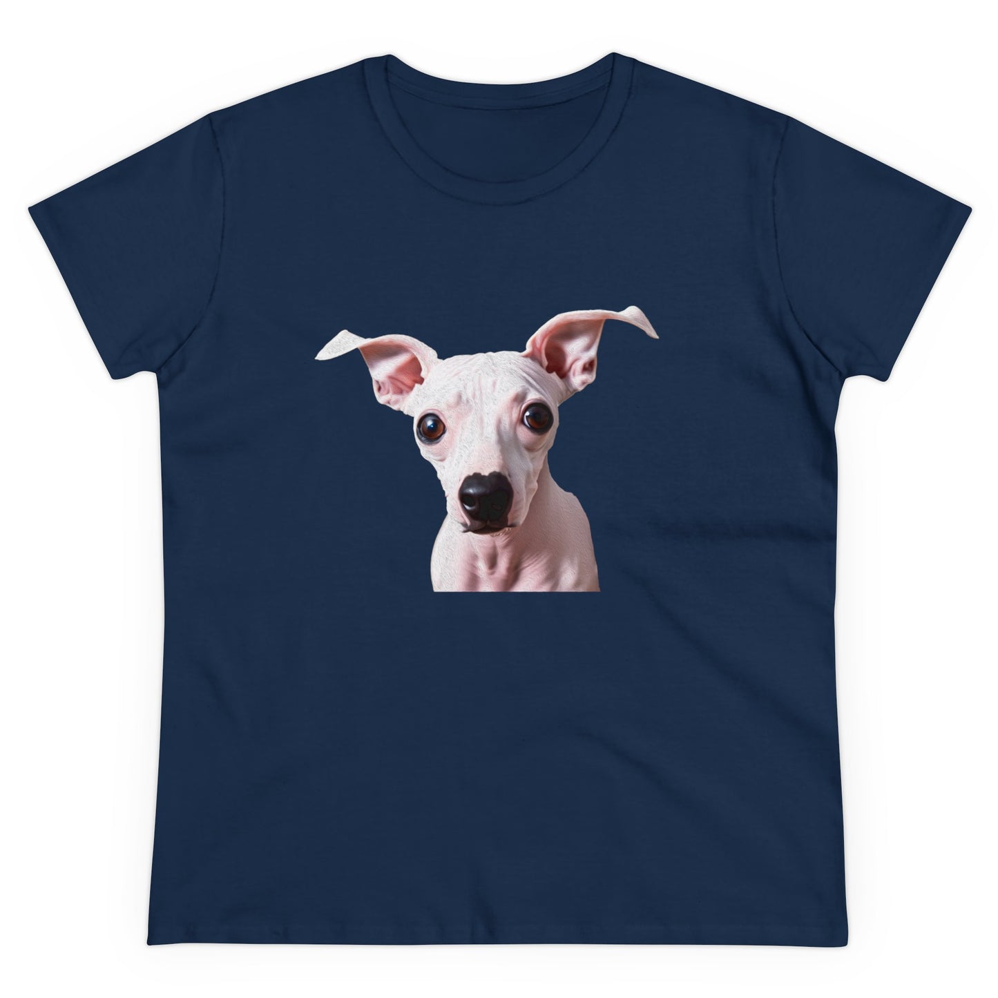 American Hairless Terrier Women's Midweight Cotton Tee