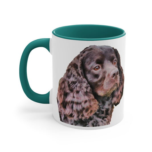 American Water Spaniel Accent Coffee Mug, 11oz