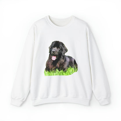 Newfoundland 'Madden' Unisex 50/50 Crewneck Sweatshirt
