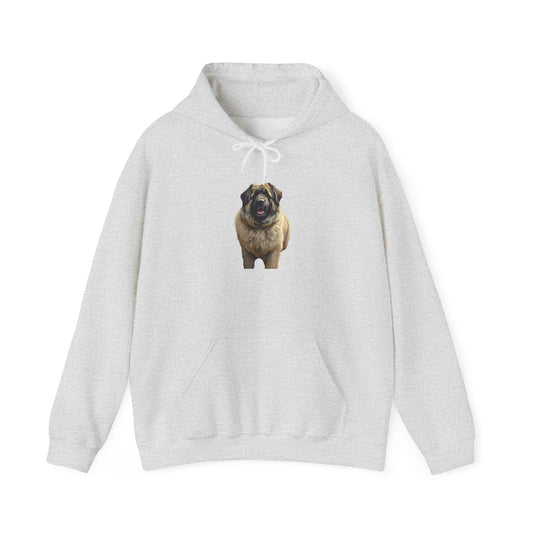 Caucasian Shepherd Dog Unisex Hooded Sweatshirt