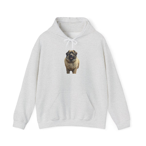 Caucasian Shepherd Dog Unisex Hooded Sweatshirt