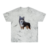 Lapponian Herder Unisex Color Blast T-Shirt