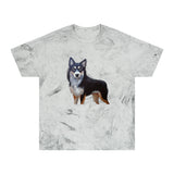 Lapponian Herder Unisex Color Blast T-Shirt