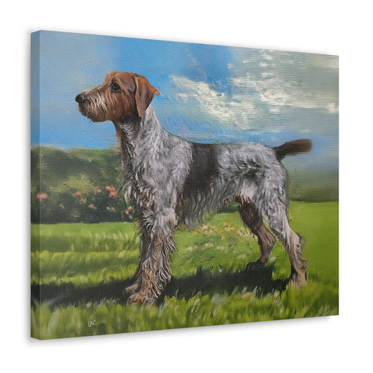 Wirehaired Pointing Griffon Canvas Gallery Wraps 20 x 16 Inches