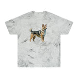 Swedish Vallhund  - Unisex Color Blast T-Shirt