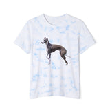 Greyhound Unisex  Fashion Tie-Dyed T-Shirt