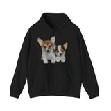 Welsh Corgi 'Cousins' Unisex 50/50 Hoodie