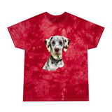 Dalmatian Classic Tie-Dye Tee, Crystal