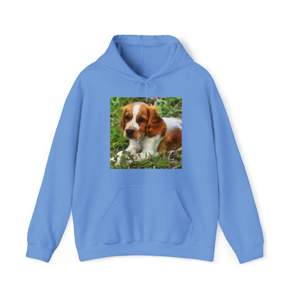Welsh Springer Spaniel Unisex 50/50 Hoodie