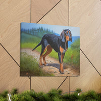 Elegant Transylvanian Scent Hound - Canvas Gallery Wraps - 20 x 16 Inches