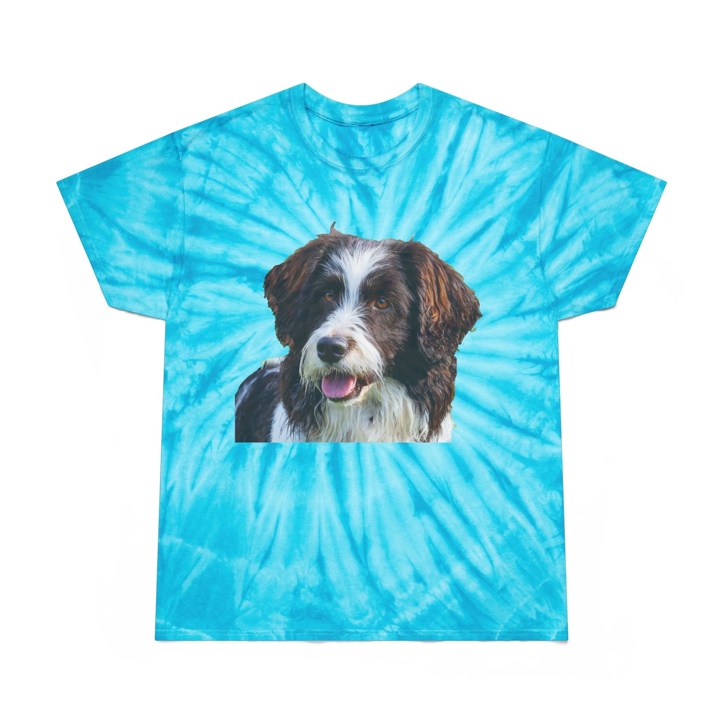 Drentsche Patrijshond Classic Tie-Dye Tee, Cyclone