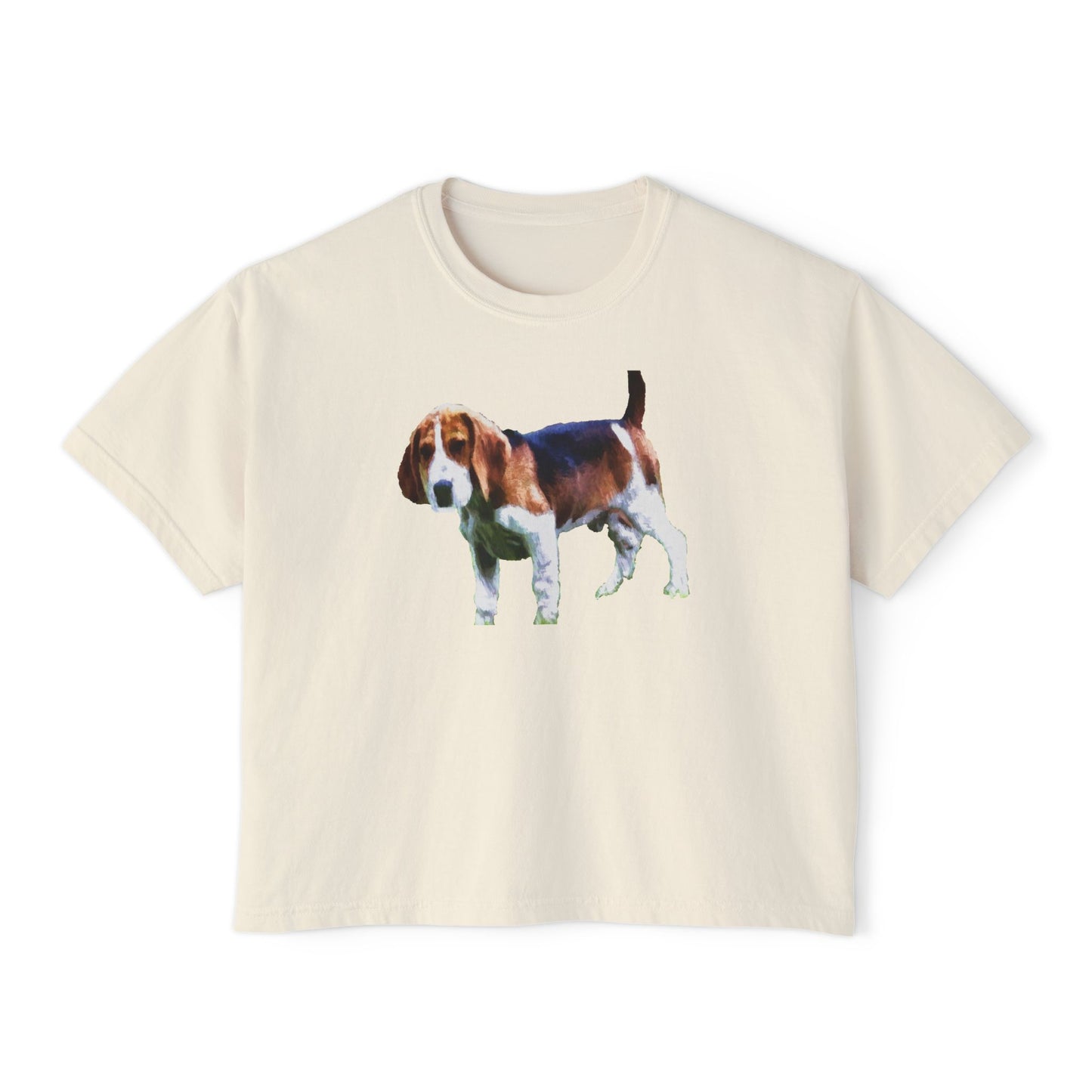 American Foxhound Women's Oversized Boxy Tee